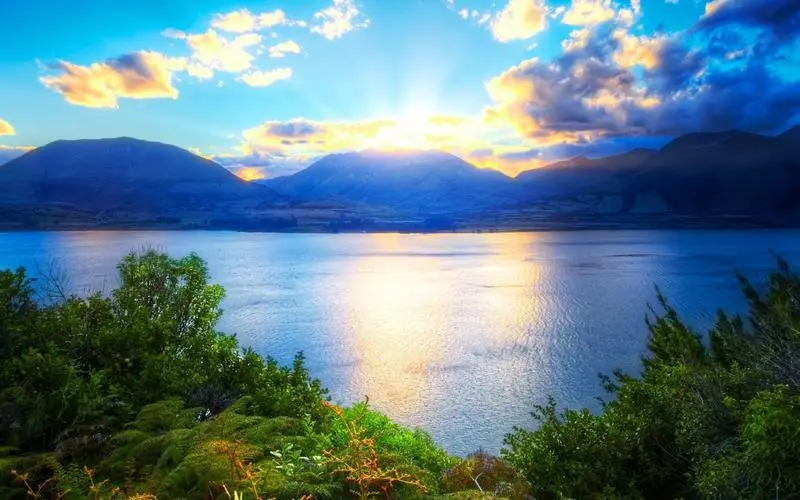 网络化绿色